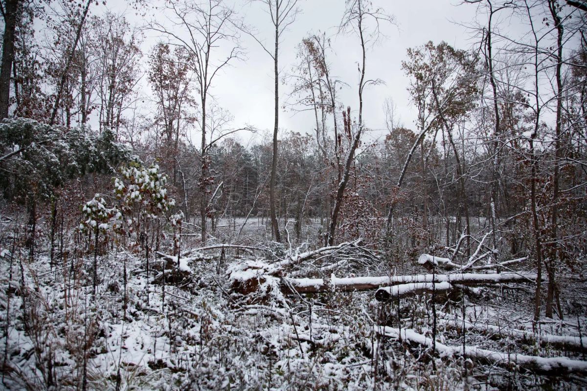 Sweet Water Ranch Tract 27 - Image 3