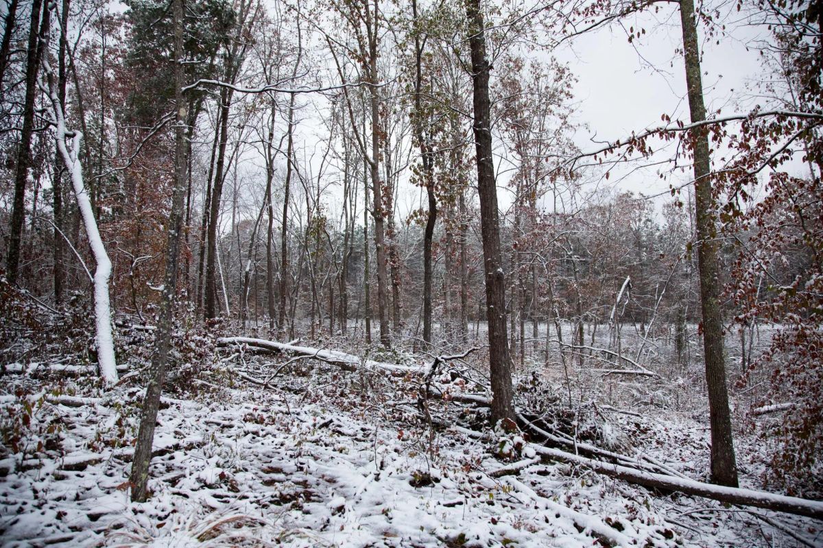Sweet Water Ranch Tract 27 - Image 4