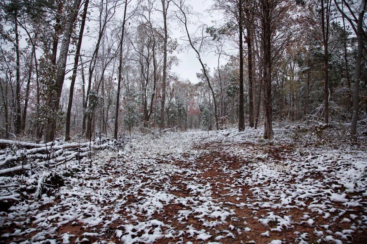 Decorative background for Sweet Water Ranch Tract 27 image 5