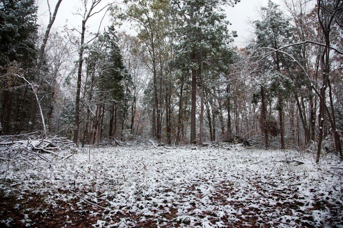 Decorative background for Sweet Water Ranch Tract 27 image 6