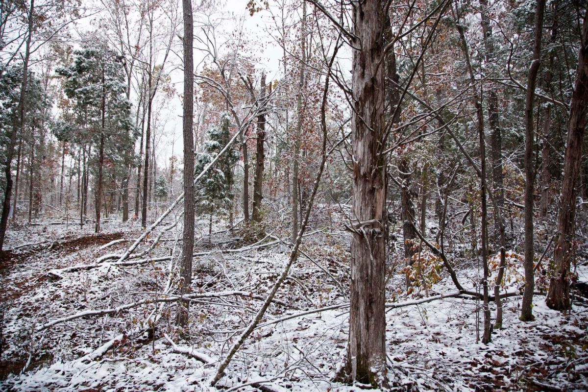 Decorative background for Sweet Water Ranch Tract 27 image 7