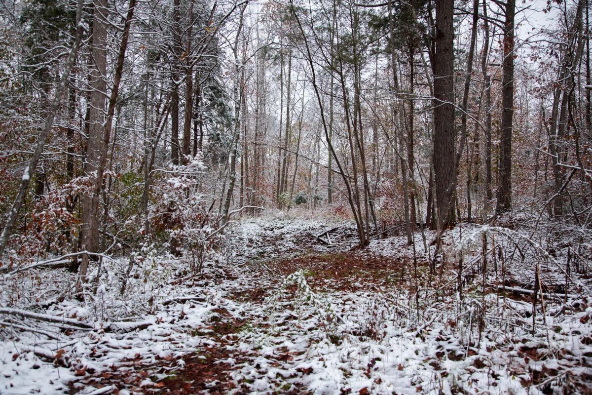 Decorative background for Sweet Water Ranch Tract 27 image 9