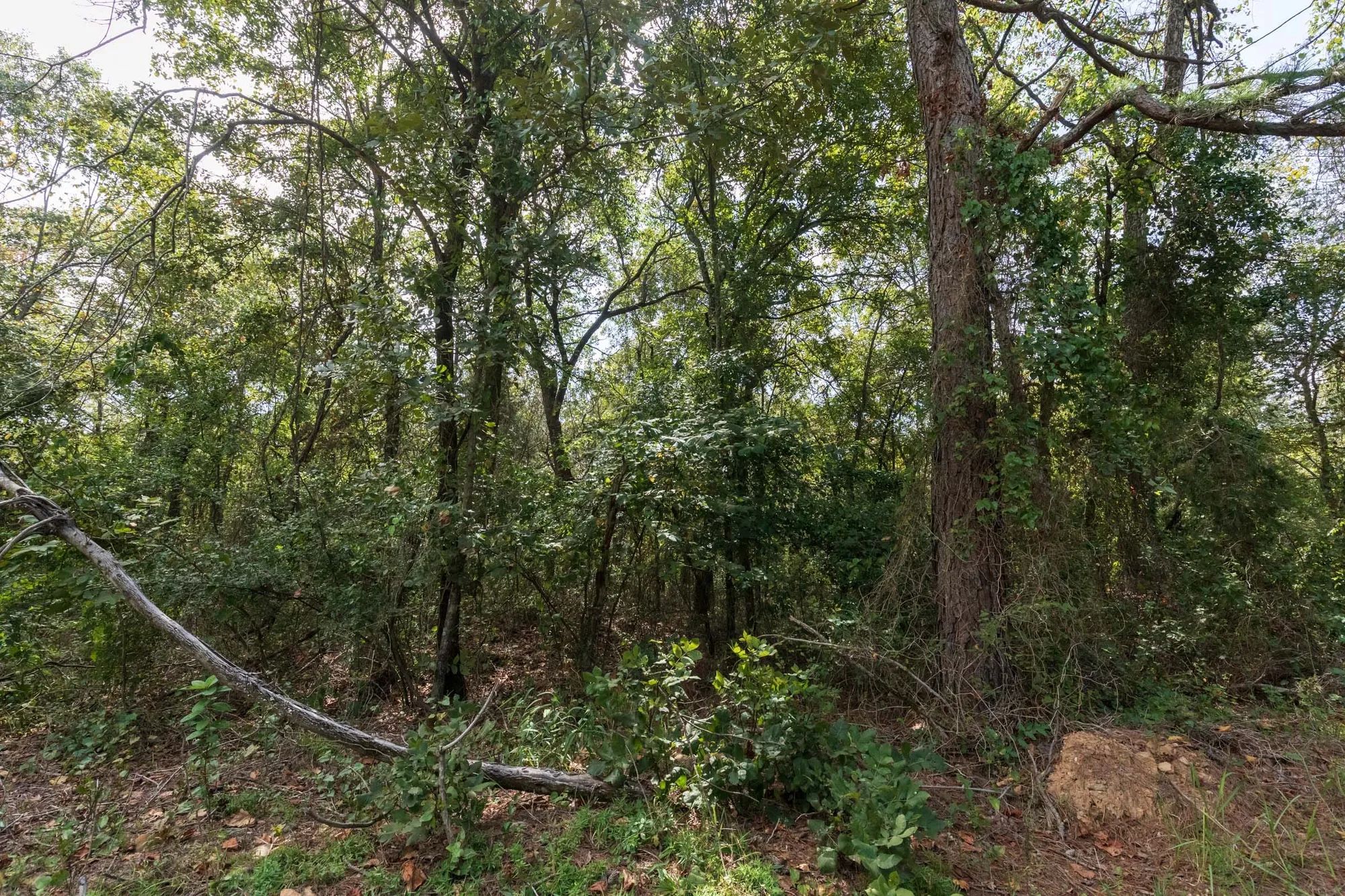 Stone Bridge Phase V Tract 407 in Latimer County, OK