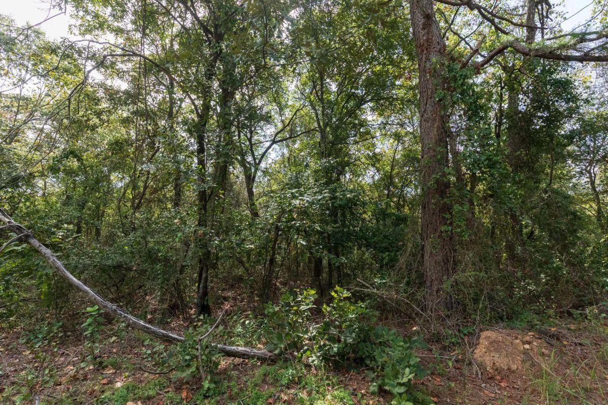 Stone Bridge Phase V Tract 407 - Image 4