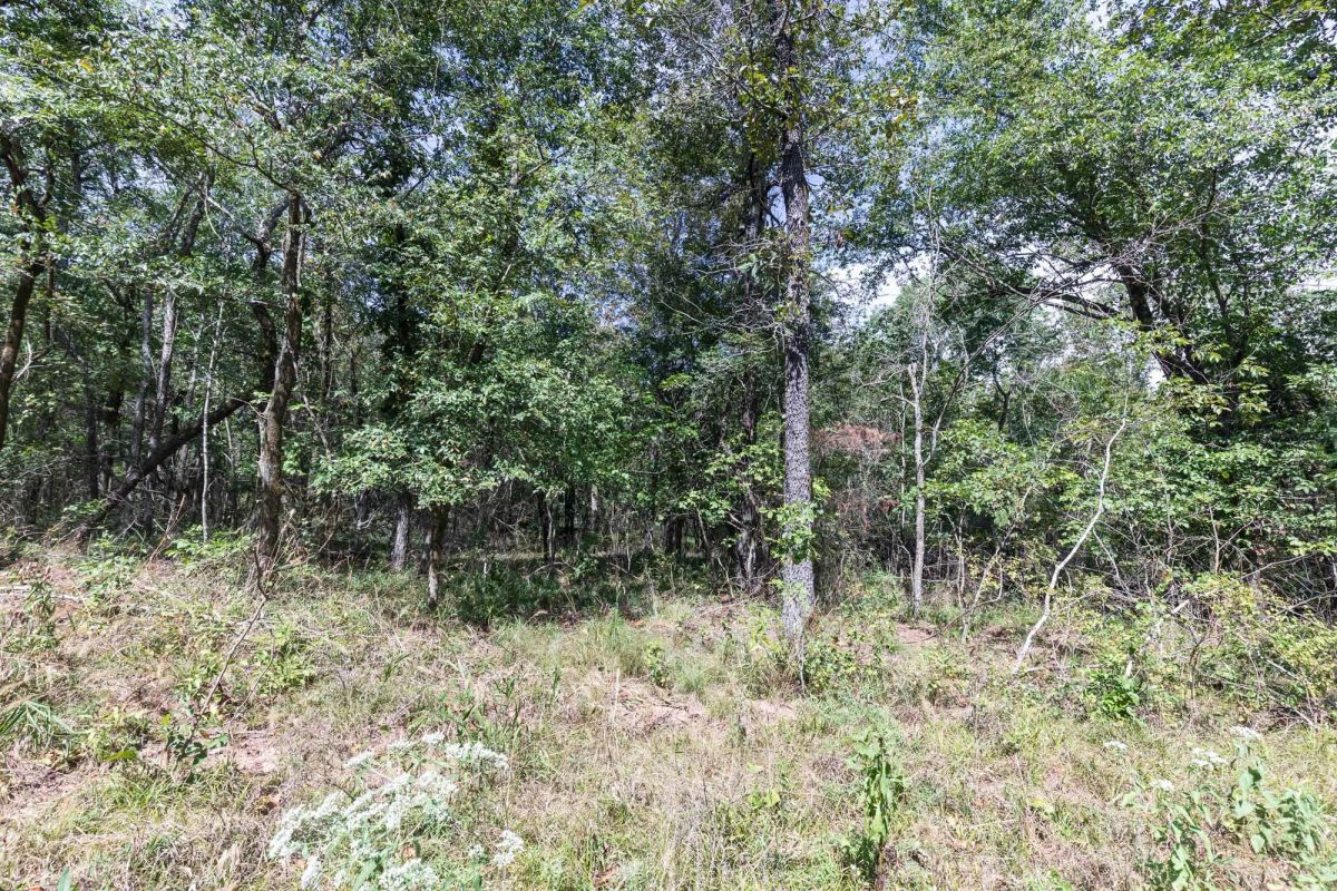 Decorative background for Stone Bridge Phase V Tract 407 image 10