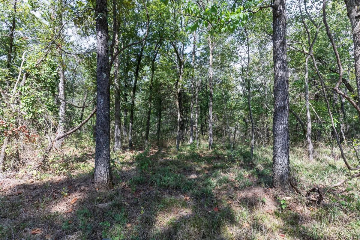 Decorative background for Stone Bridge Phase V Tract 407 image 11