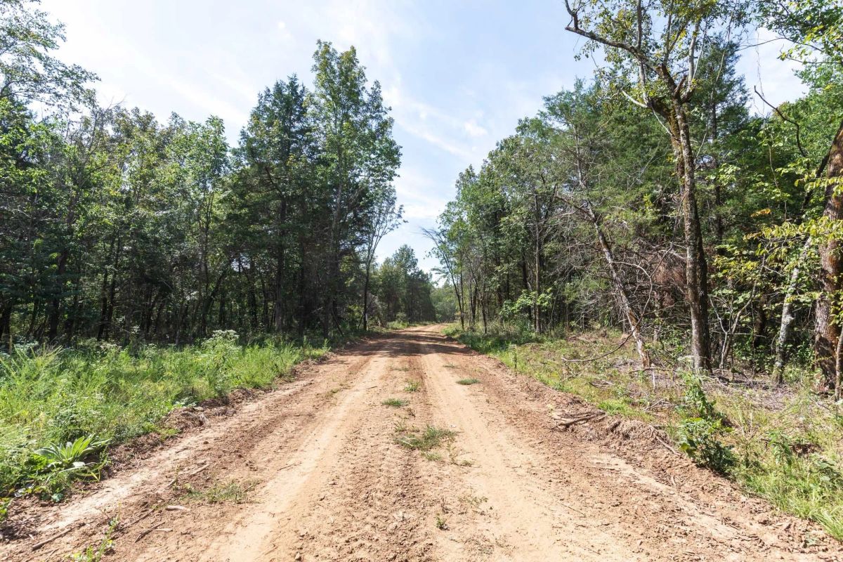 Decorative background for Stone Bridge Phase V Tract 407 image 17