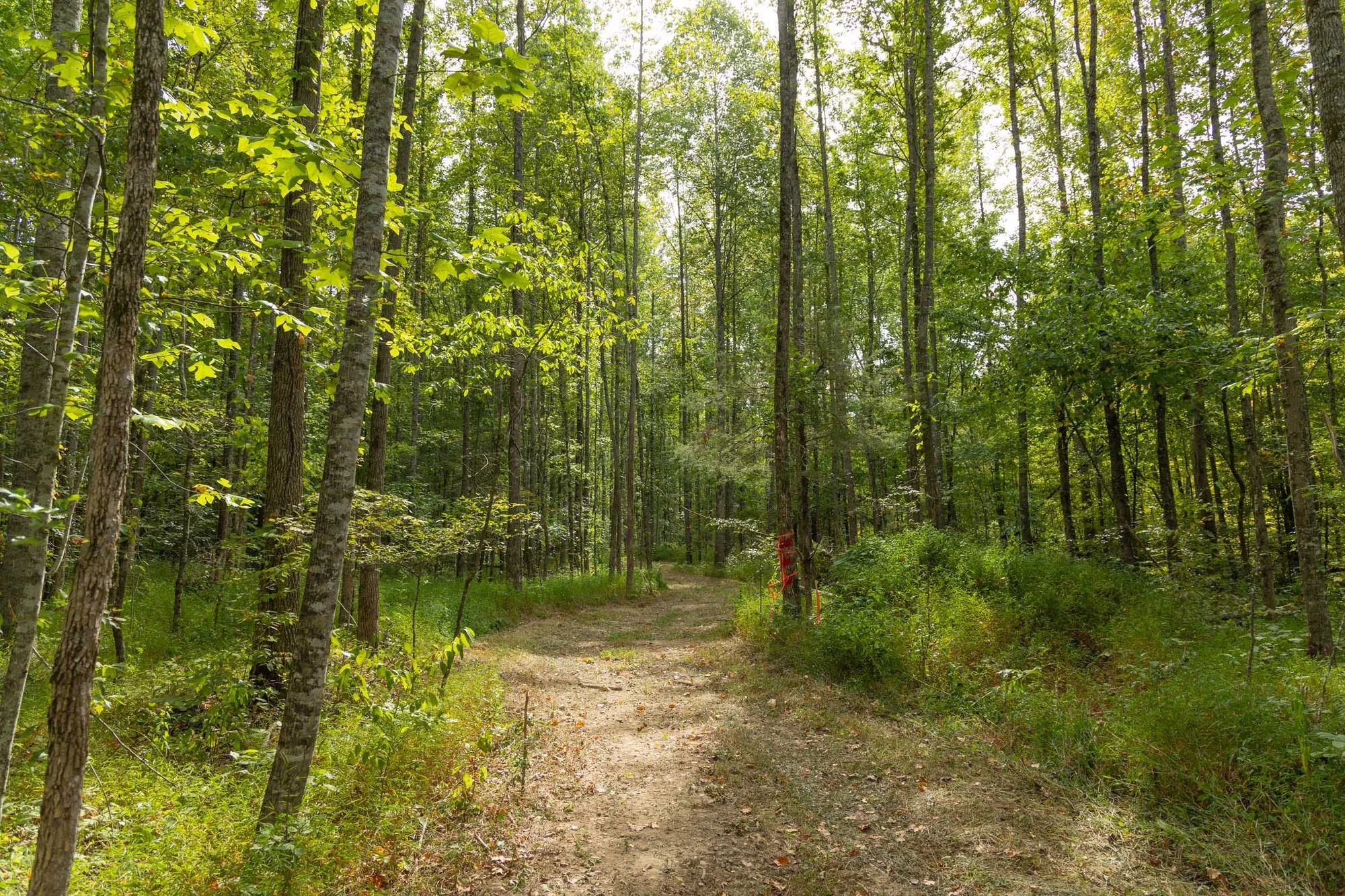 Big White Oak Tract 114 in Perry County, TN