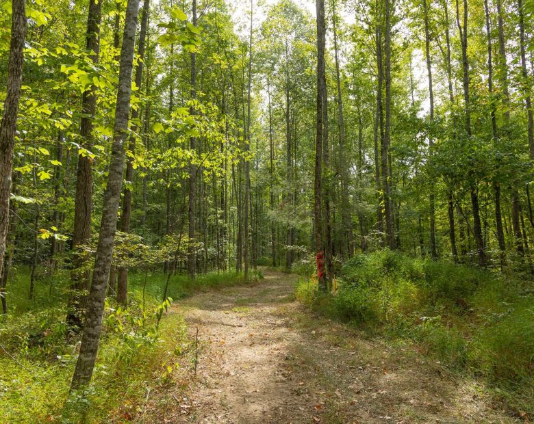 Big White Oak Tract 114 in Perry County, TN