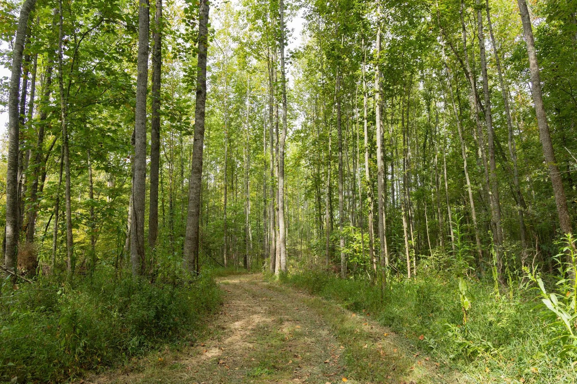 Big White Oak Tract 114 in Perry County, TN