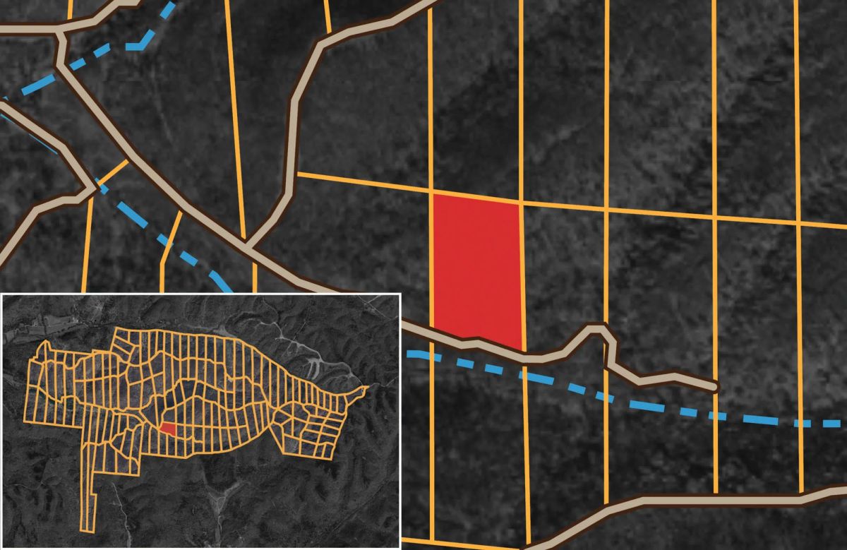 Decorative background for Big White Oak Tract 114 image 15