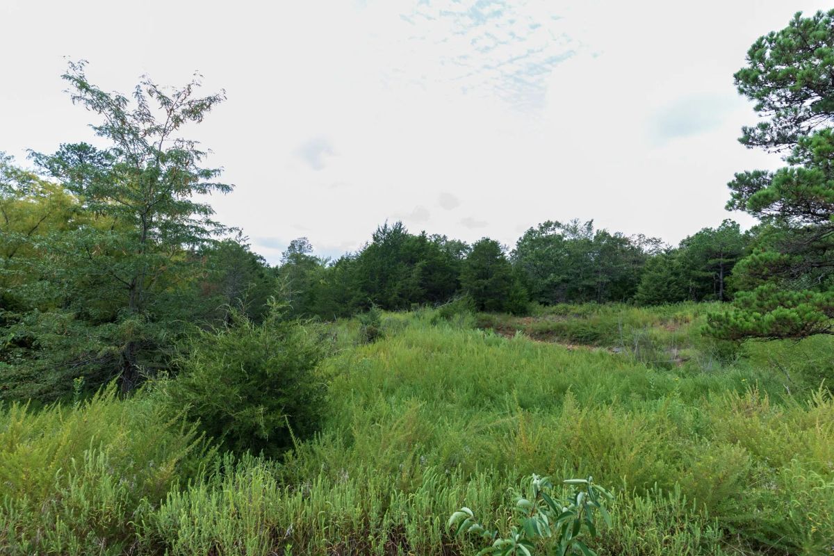 Stone Bridge Phase V Tract 334 - Image 2