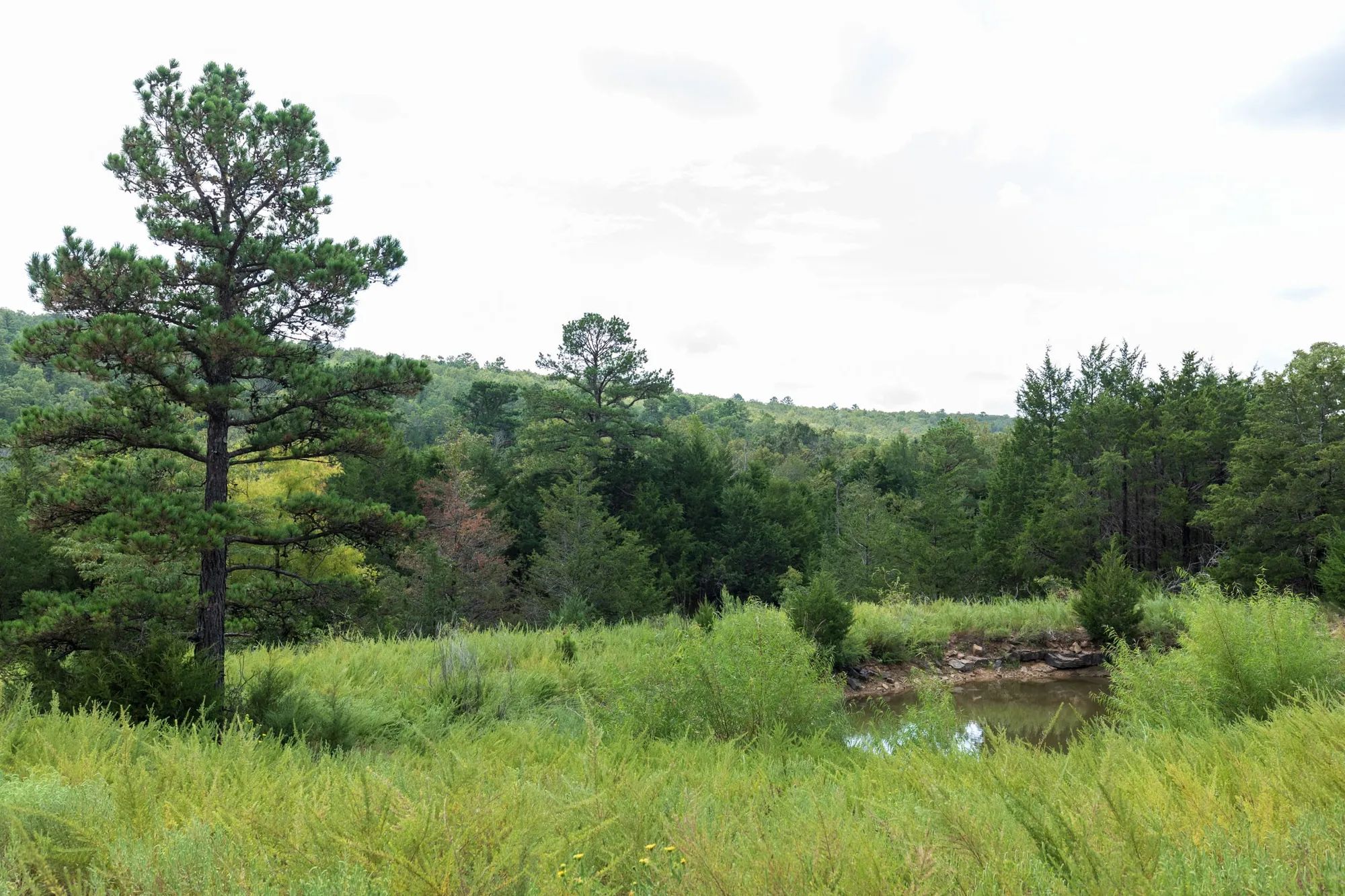 Stone Bridge Phase V Tract 334 in Haskell County, OK