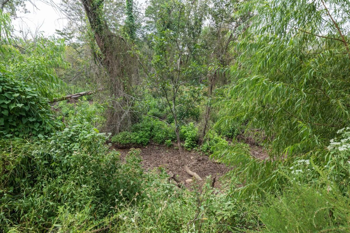 Decorative background for Stone Bridge Phase V Tract 334 image 12