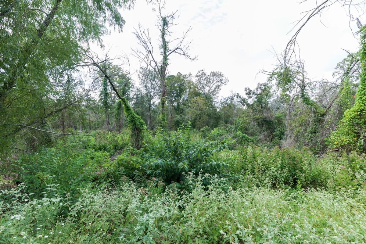 Decorative background for Stone Bridge Phase V Tract 334 image 14