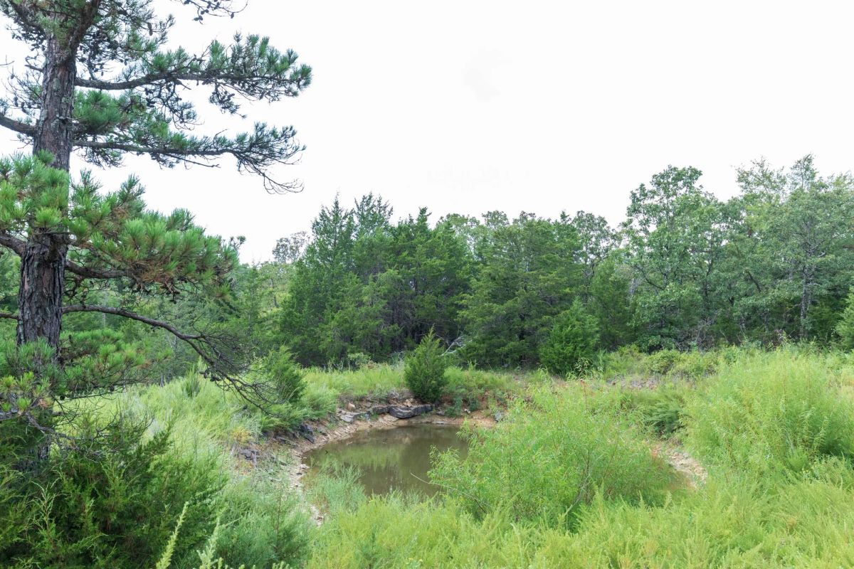 Decorative background for Stone Bridge Phase V Tract 334 image 17