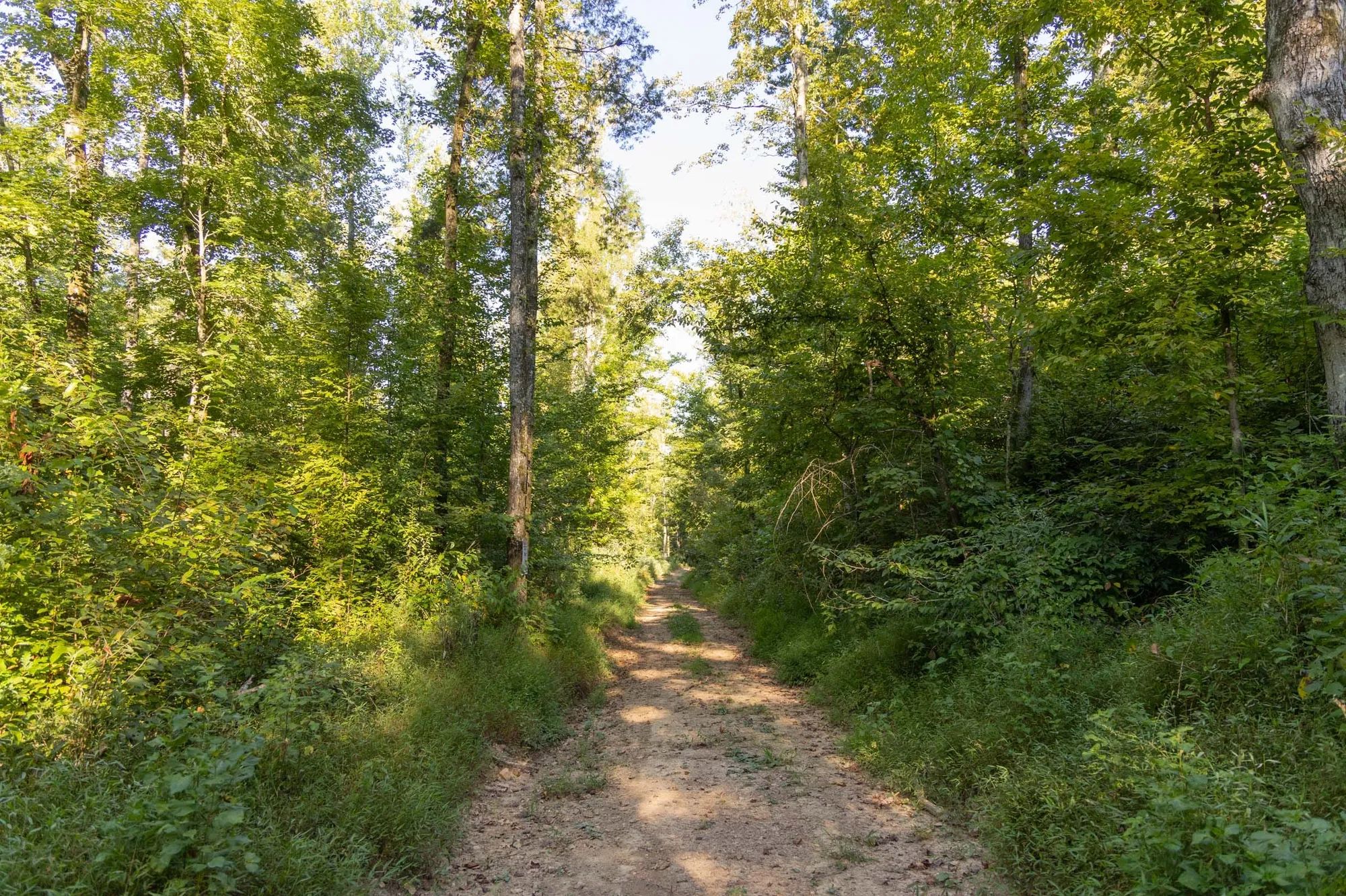 Big White Oak Tract 87 in Perry County, TN