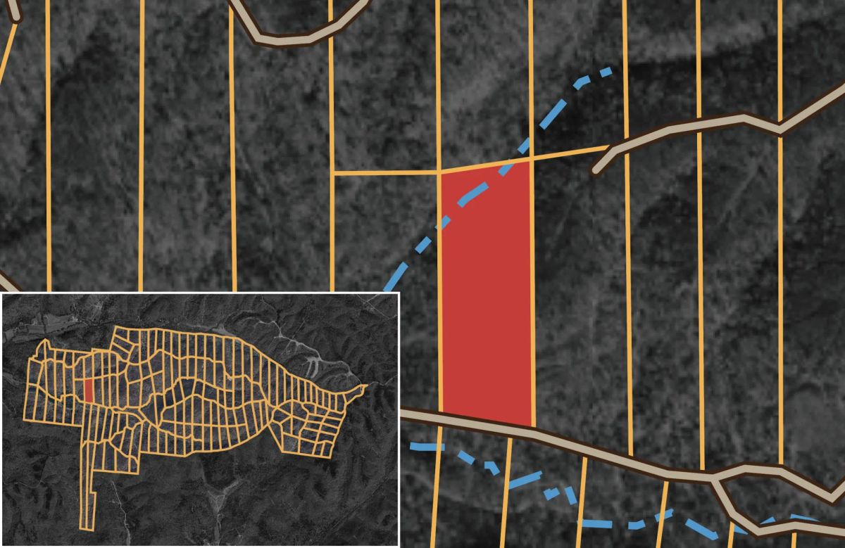 Decorative background for Big White Oak Tract 87 image 15