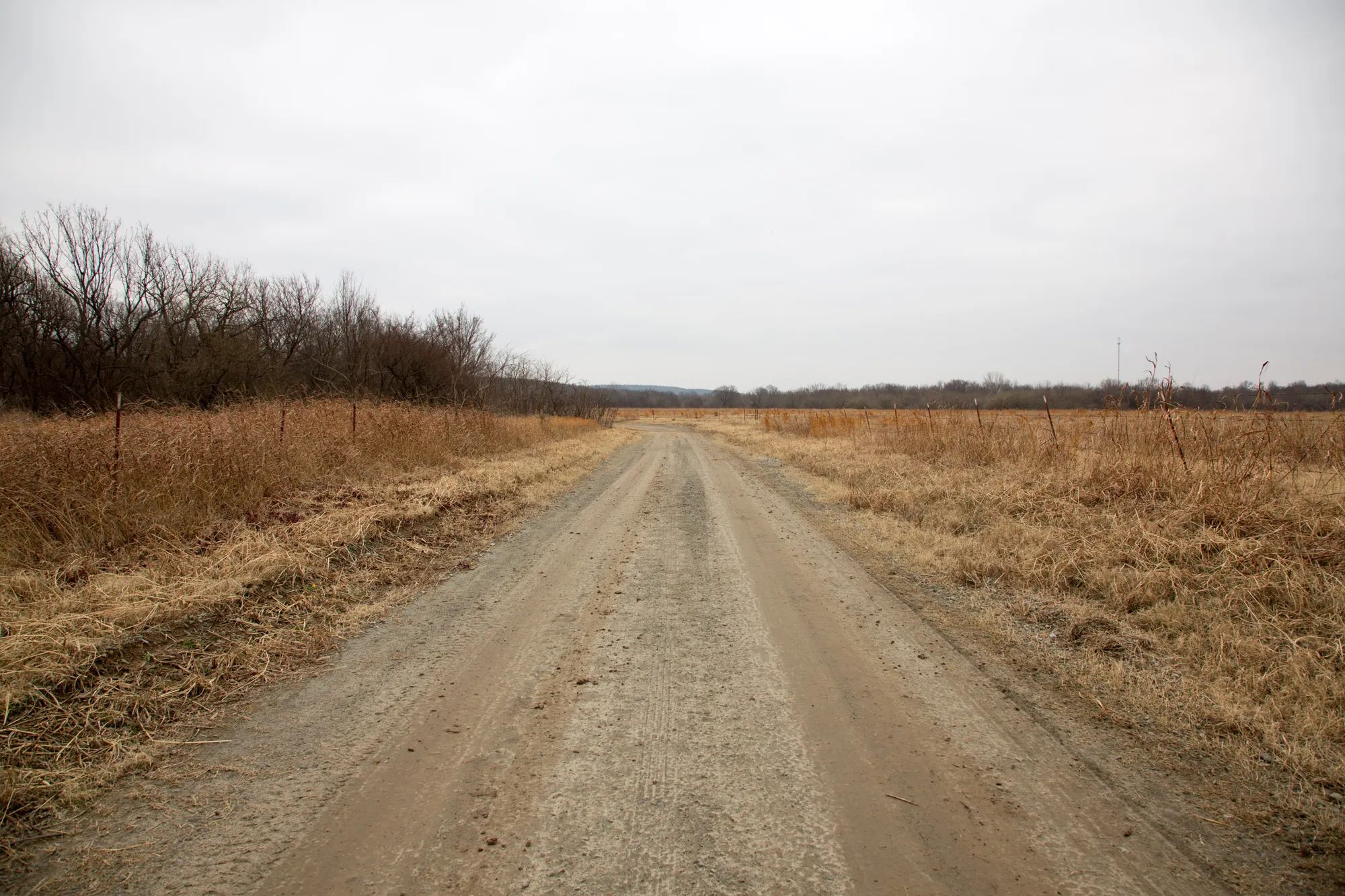 Canadian Plains photo 3