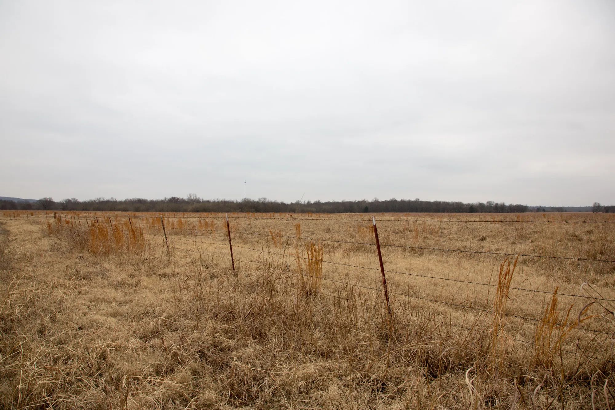Canadian Plains photo 4