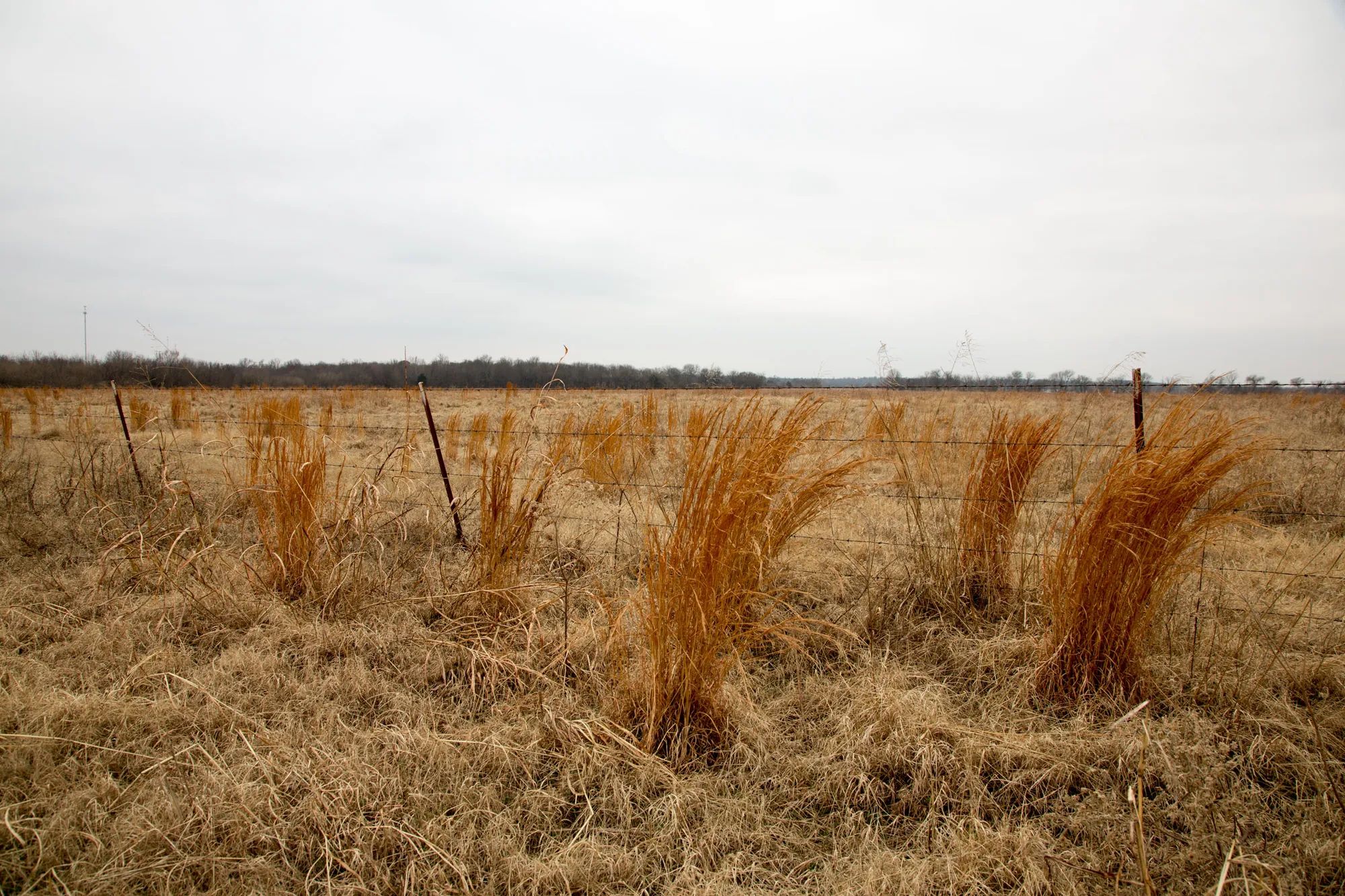 Canadian Plains photo 5