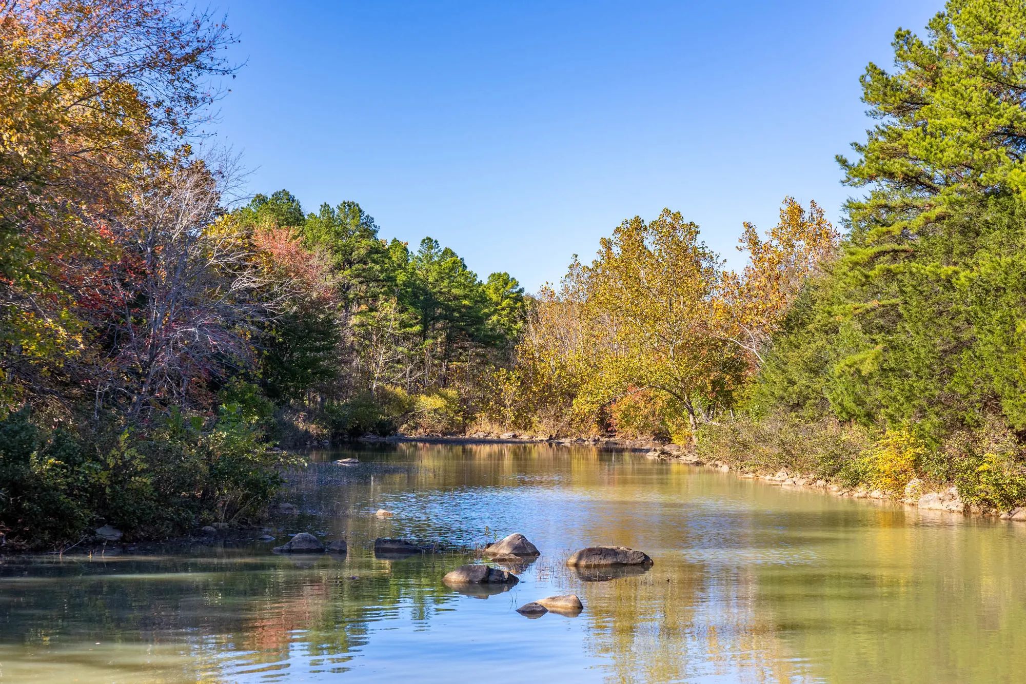 Stone Bridge Reserve photo 2