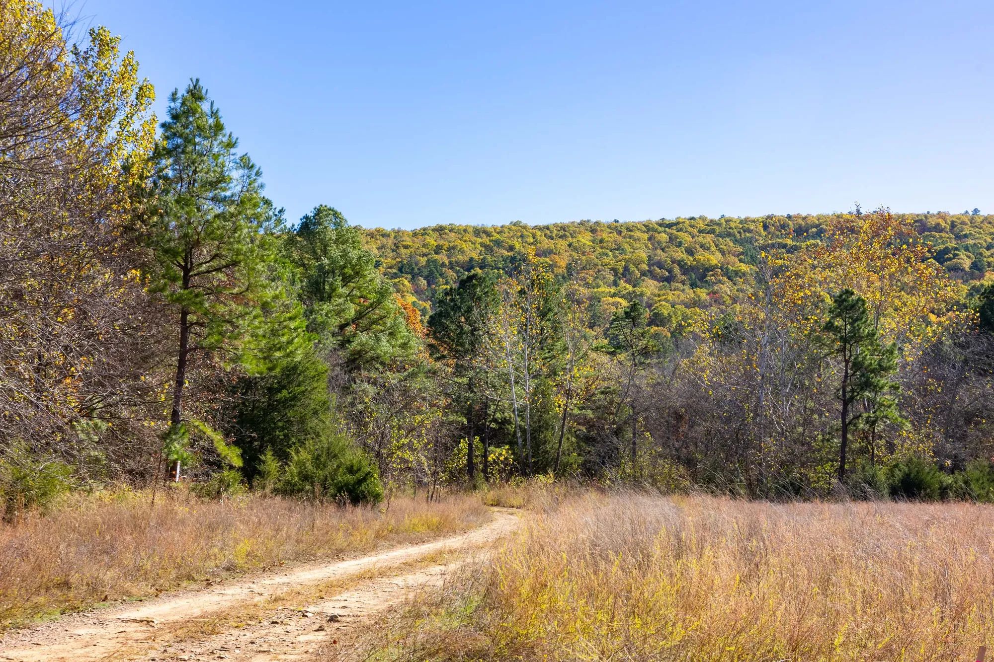 Stone Bridge Reserve photo 3
