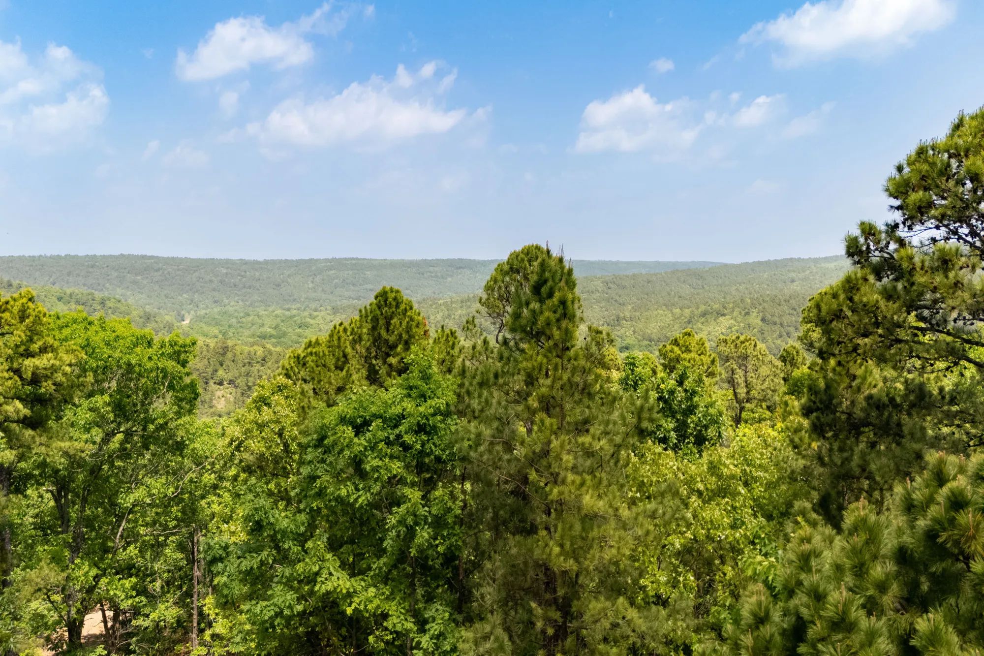 Stone Bridge Reserve photo 4
