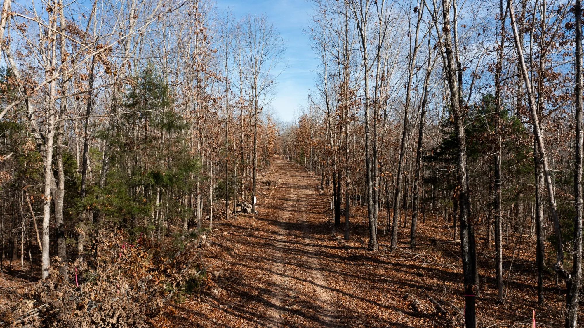 Dutchman Hollow photo 3