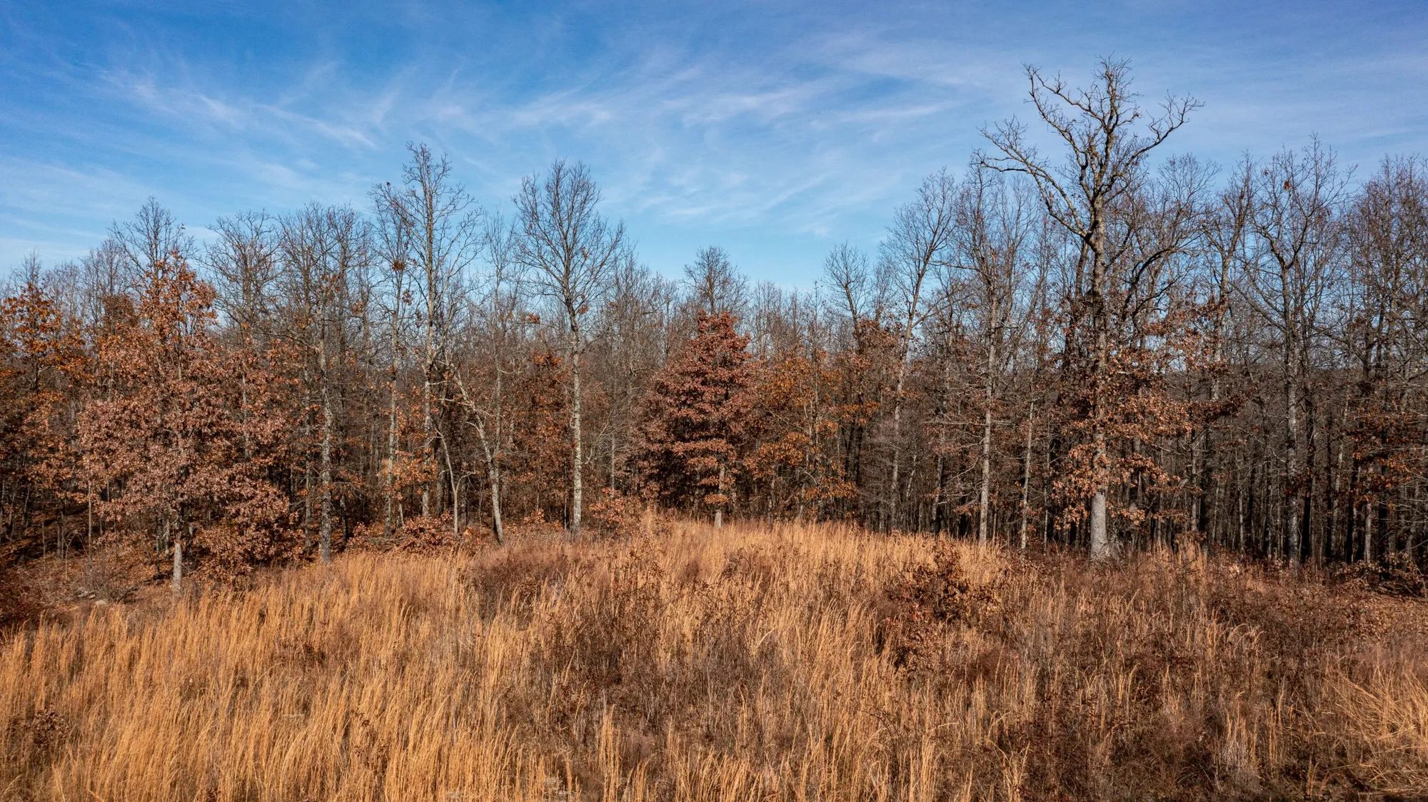 Dutchman Hollow photo 5