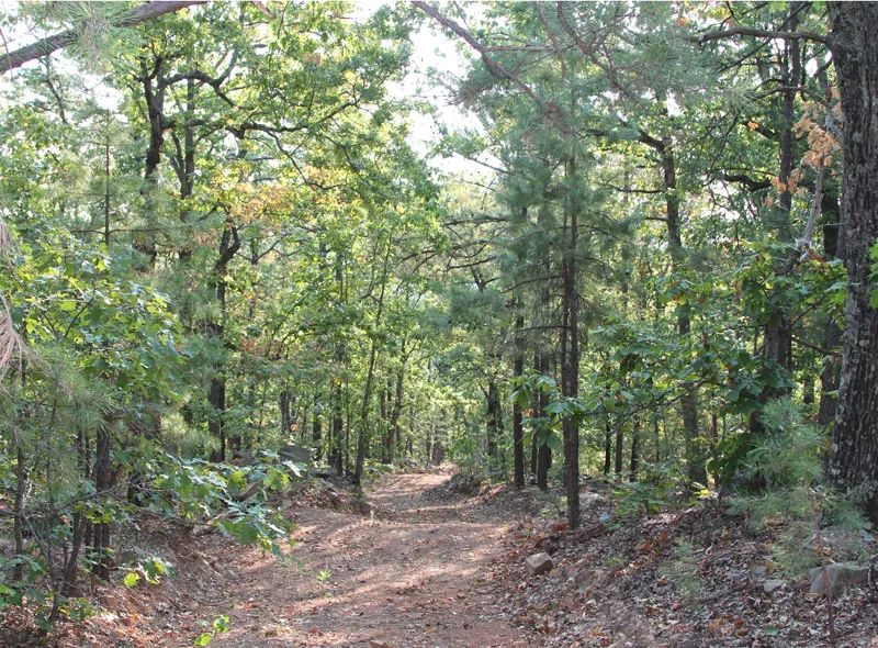 Trophy Ridge Phase II photo 5