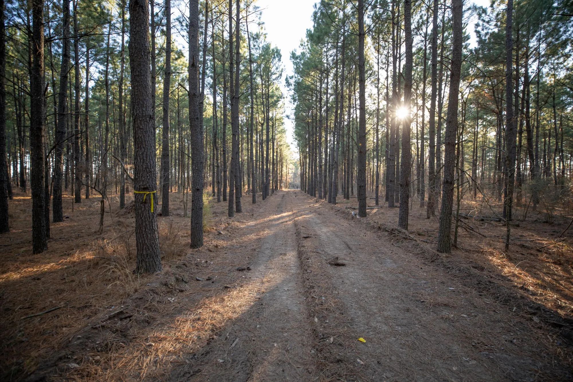 Wishing Star Ranch photo 2