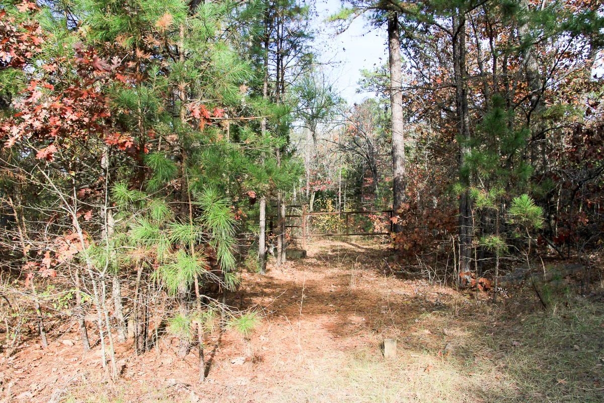 Stone Creek Phase III photo 3