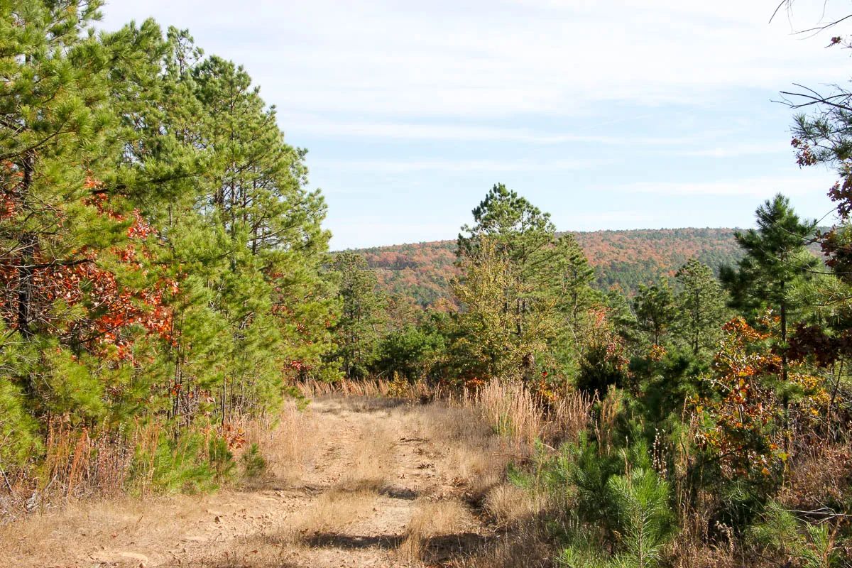 Stone Creek Phase III photo 4