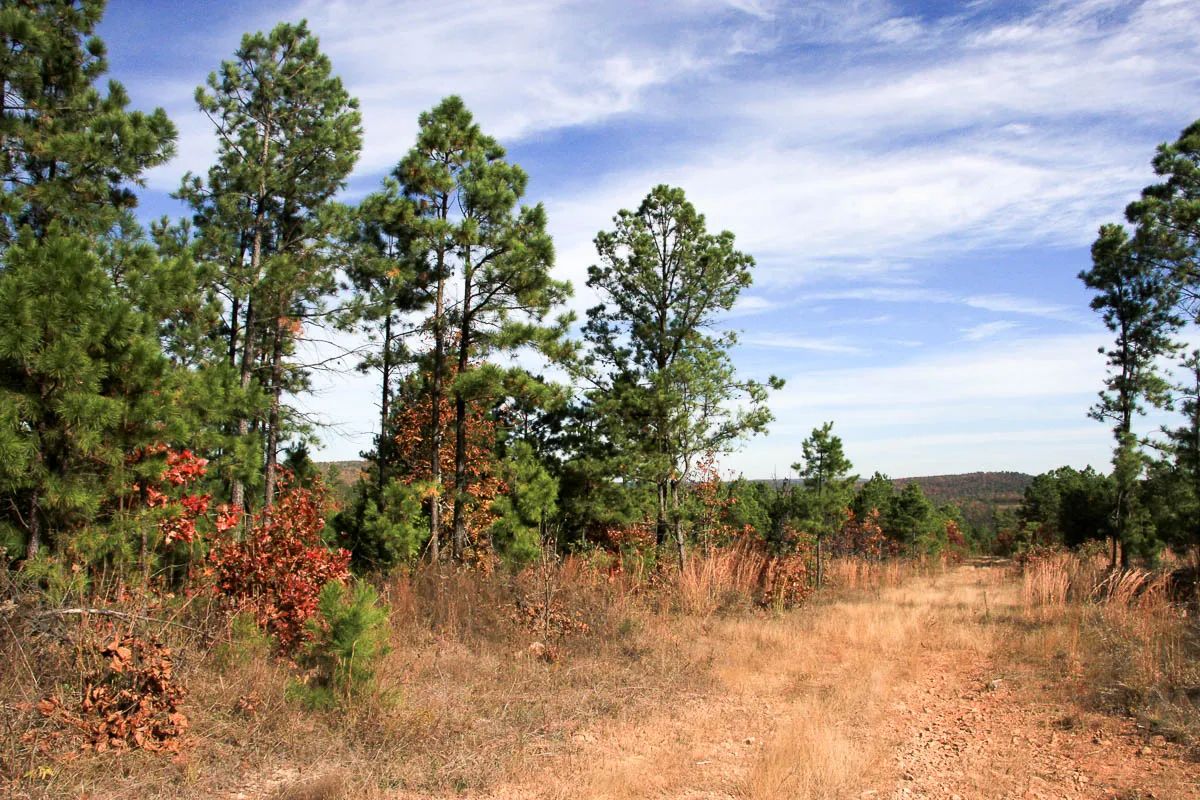 Stone Creek Phase III photo 5