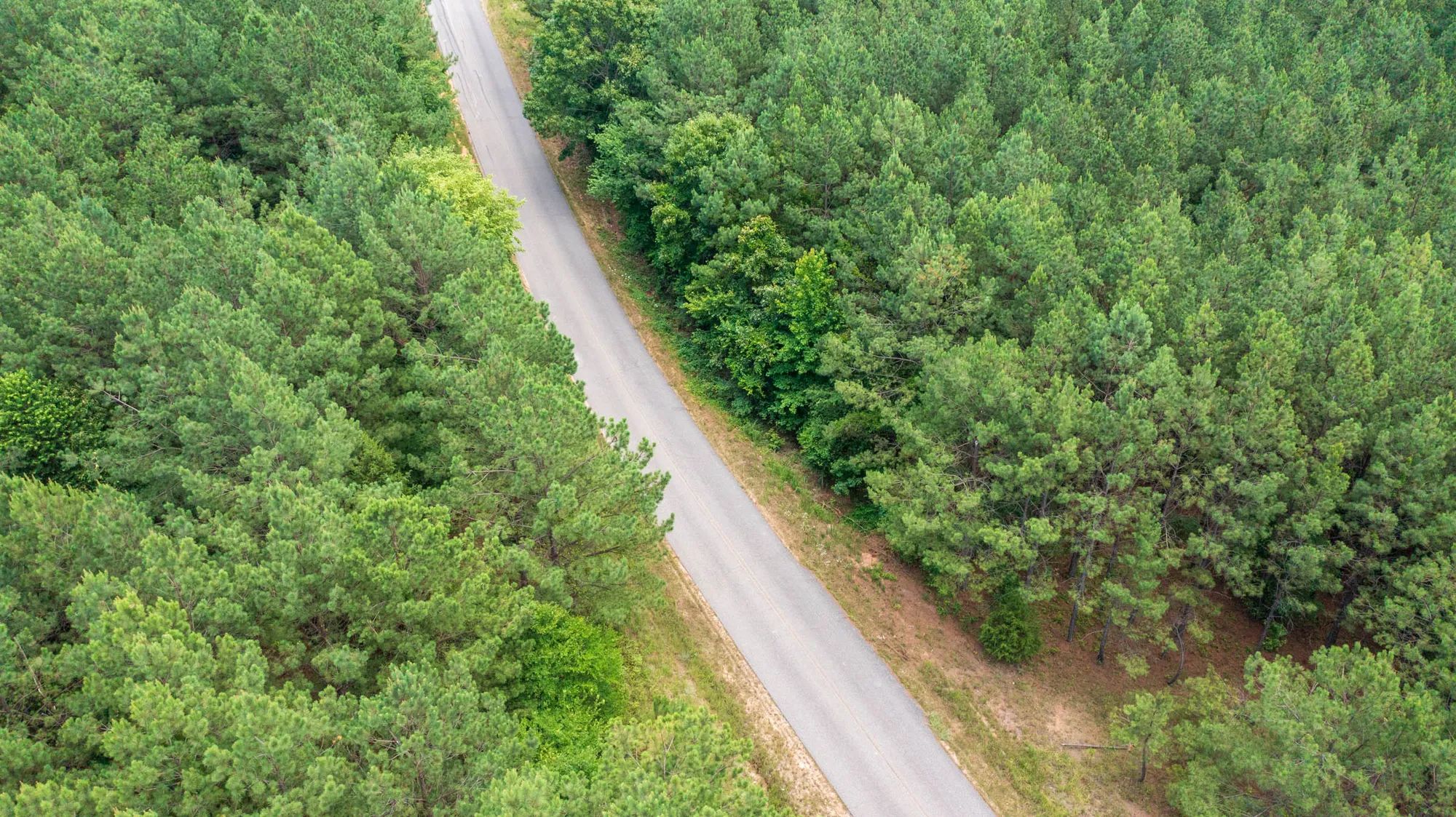 Whiskey Ridge photo 2
