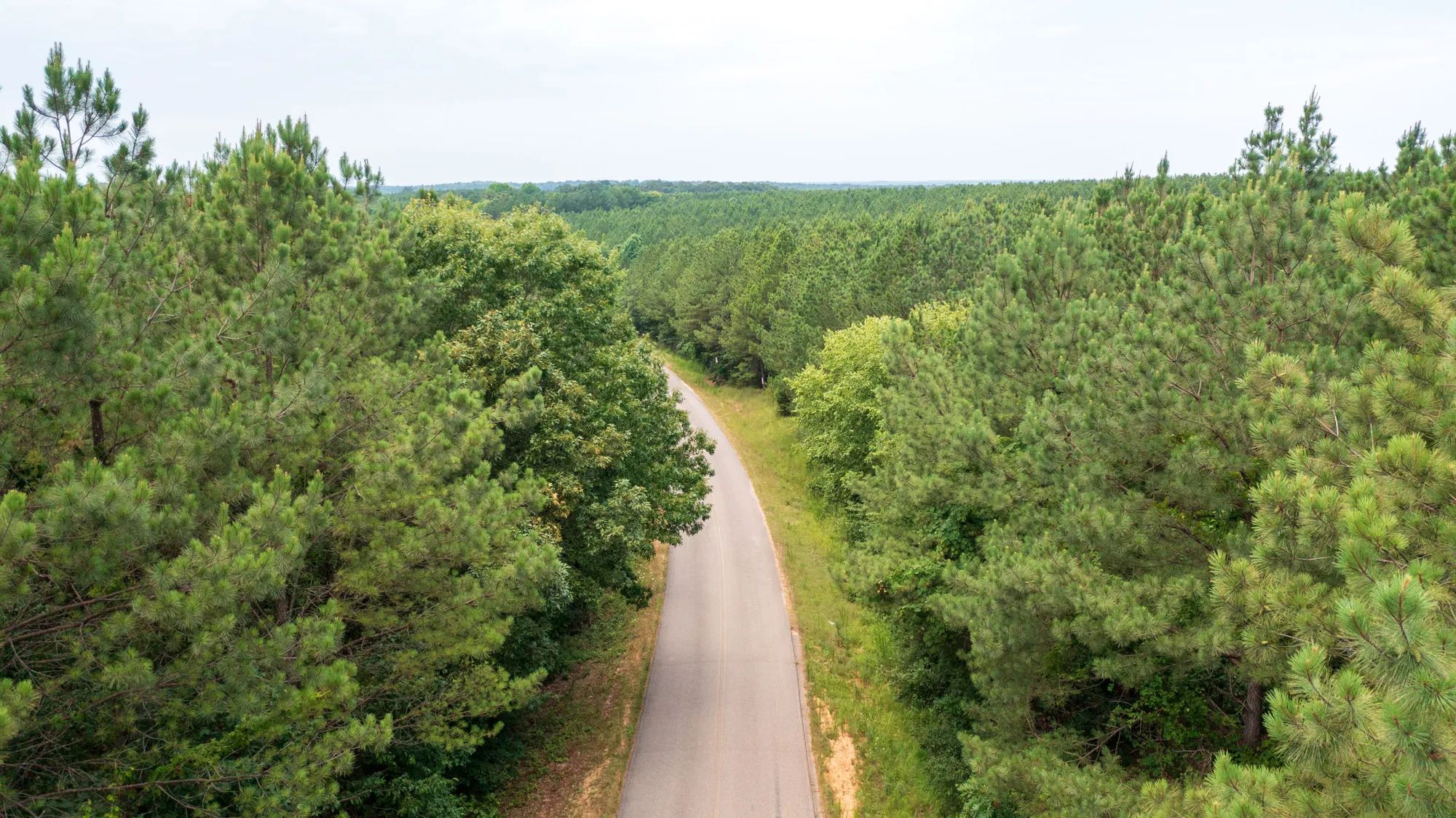 Whiskey Ridge photo 4