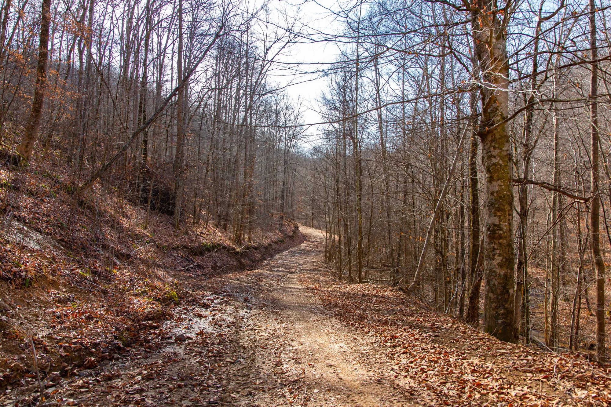Blackstone Mountain Phase II photo 2