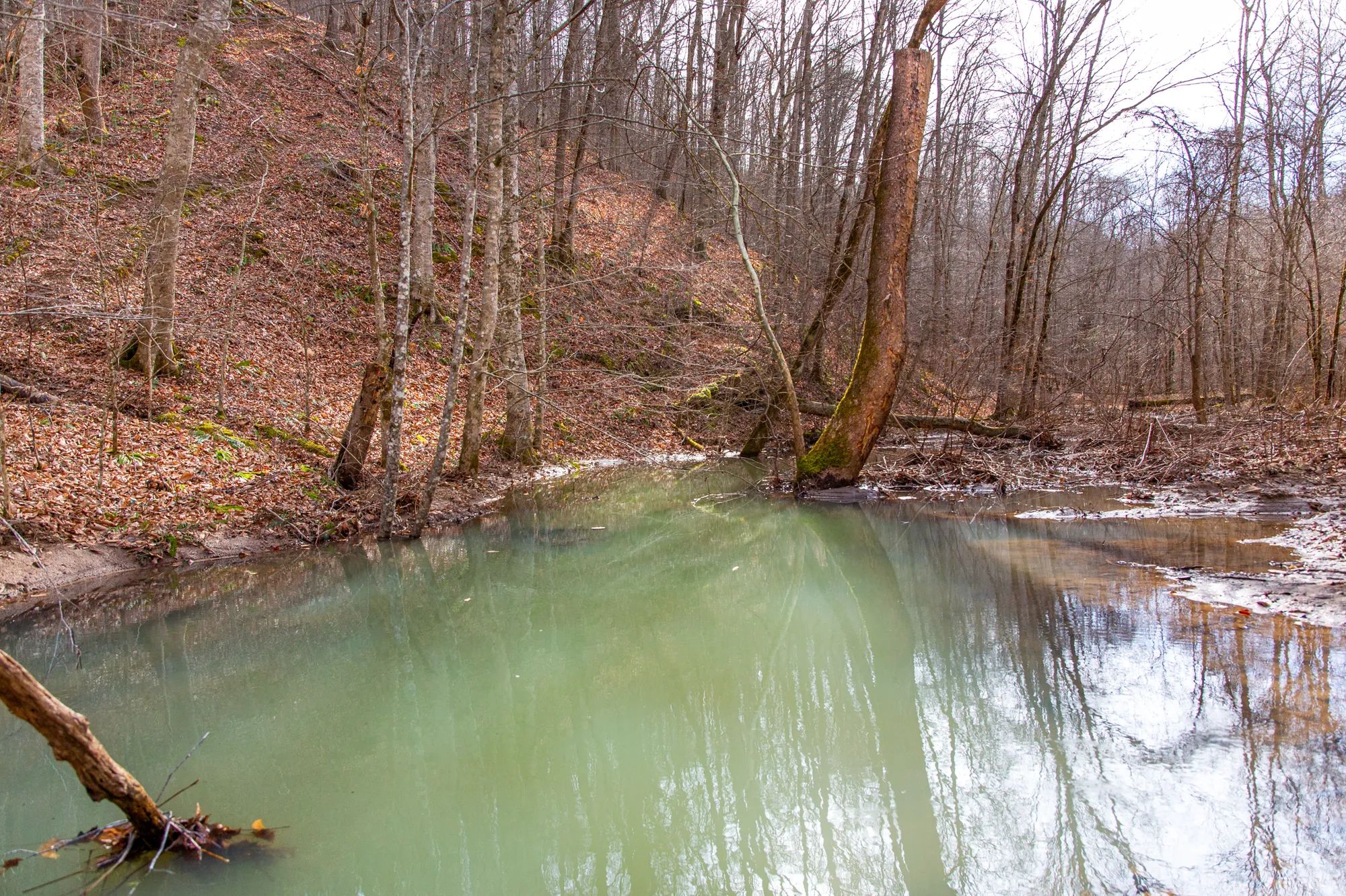 Blackstone Mountain Phase II photo 5