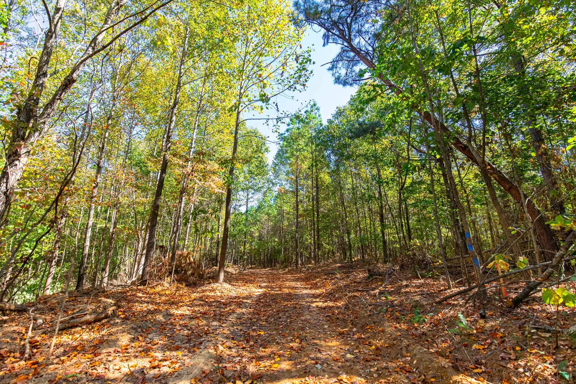 Bear Brook photo 2