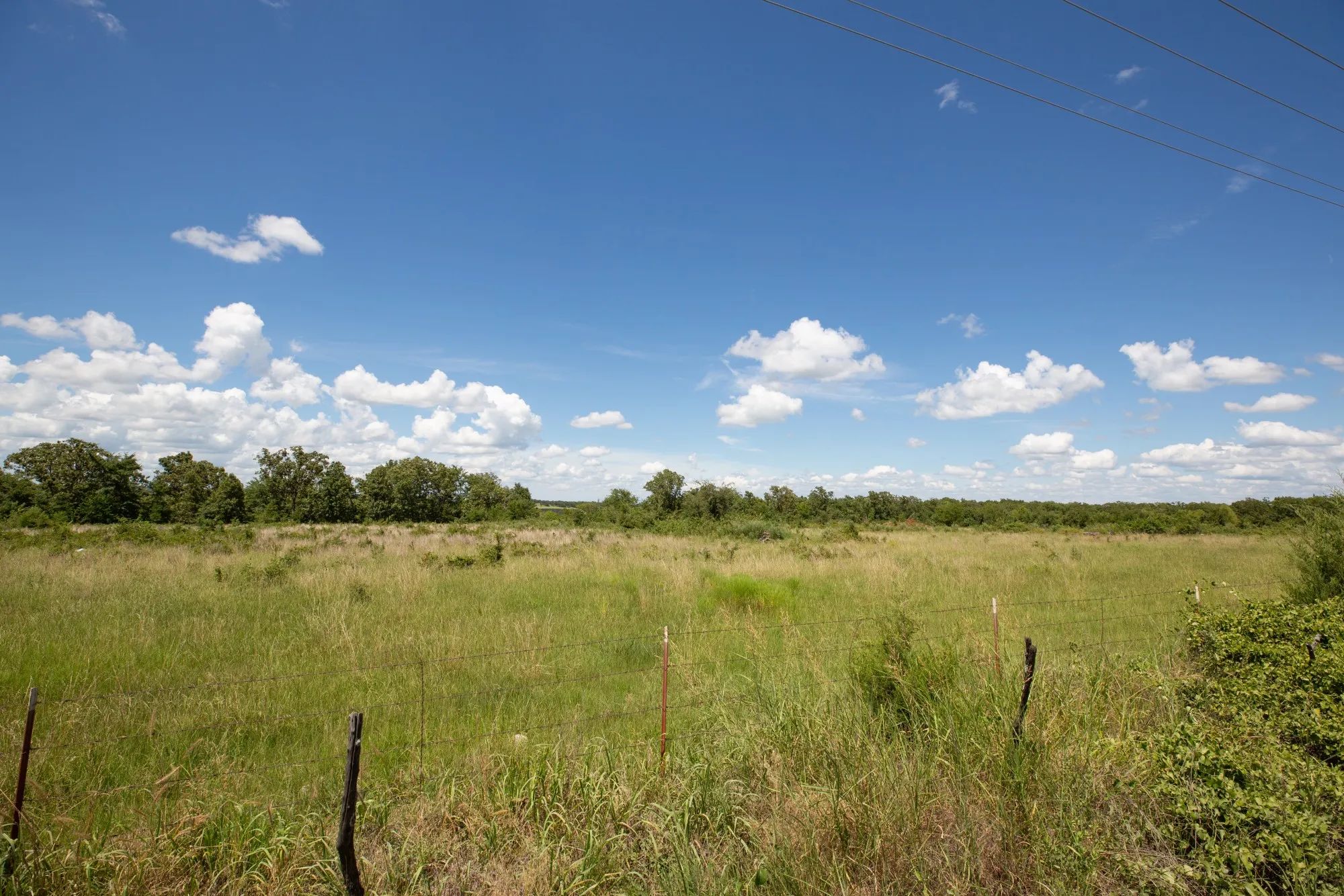 Paradise Valley photo 2