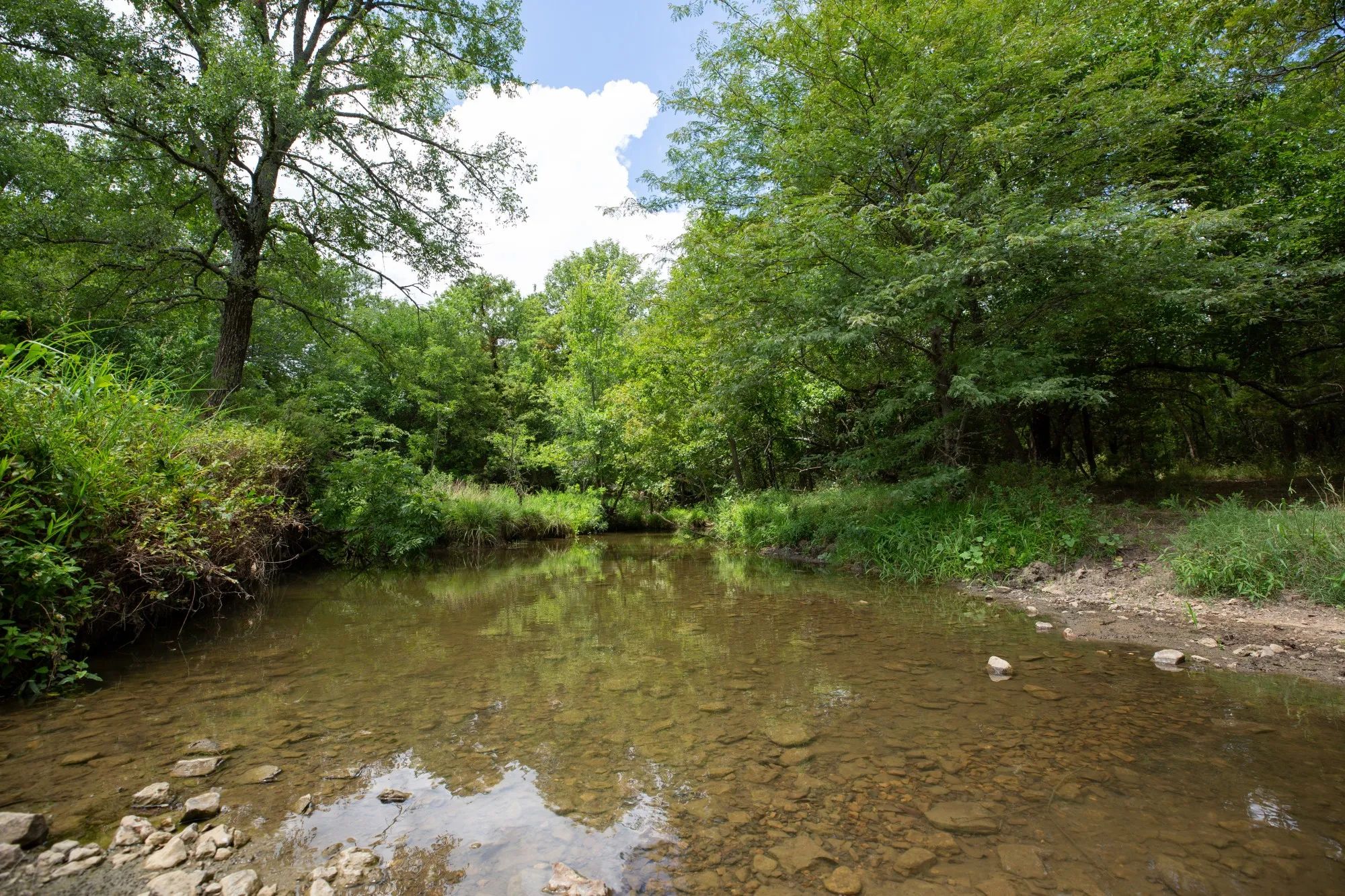 Paradise Valley photo 4