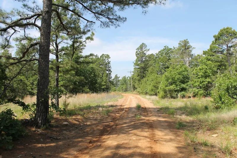 Indian Ridge – Phase II photo 2