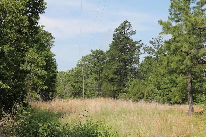 Indian Ridge – Phase II photo 3