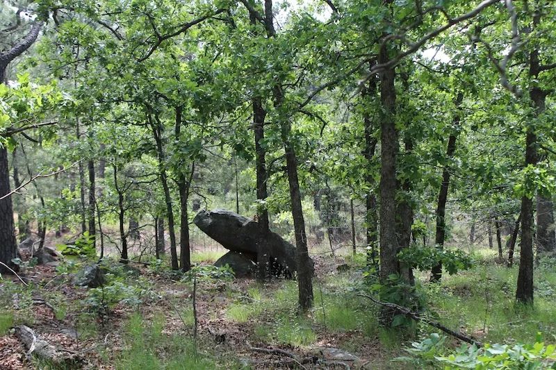 Indian Ridge – Phase II photo 4