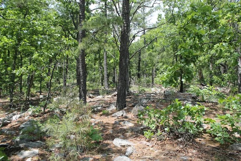 Indian Ridge – Phase II photo 5