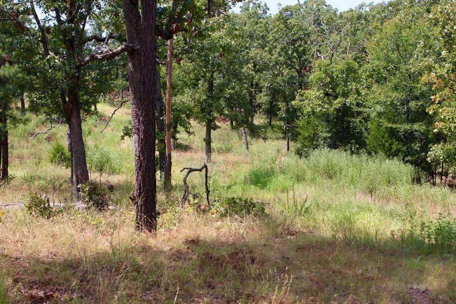 Lakeview Private Reserve photo 2