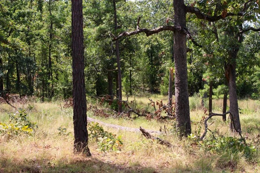 Lakeview Private Reserve photo 3