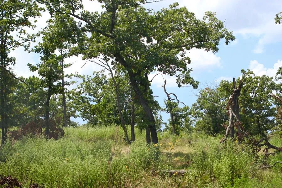 Lakeview Private Reserve photo 5