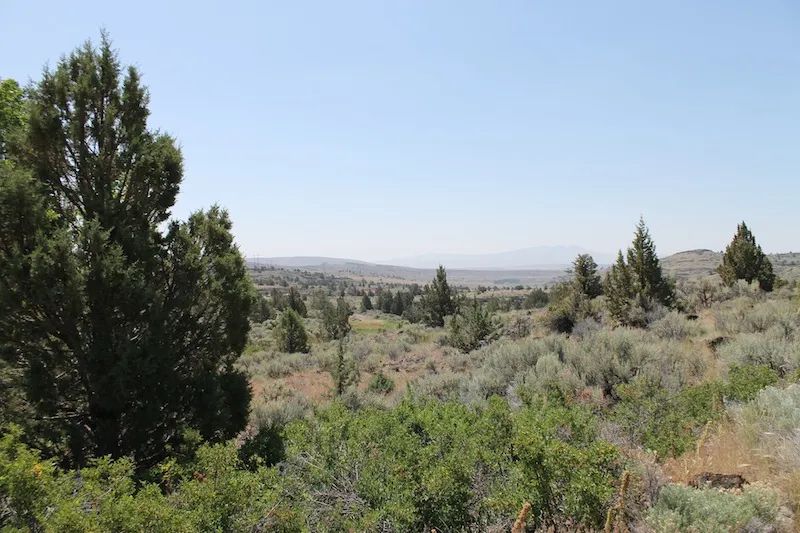 Moon Valley Ranch photo 2